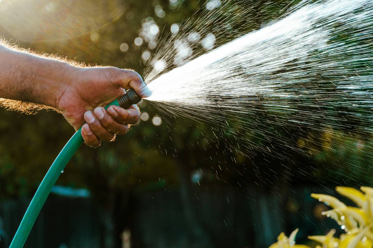 Adjustable Spray Nozzle Airbrush: 7 Proven Ways to Avoid Painful Watering Mistakes