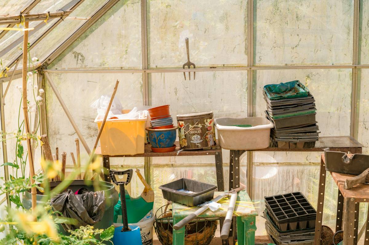 Adjustable Sprayer Nozzle: 7 Proven Ways to Avoid Costly Watering Mistakes