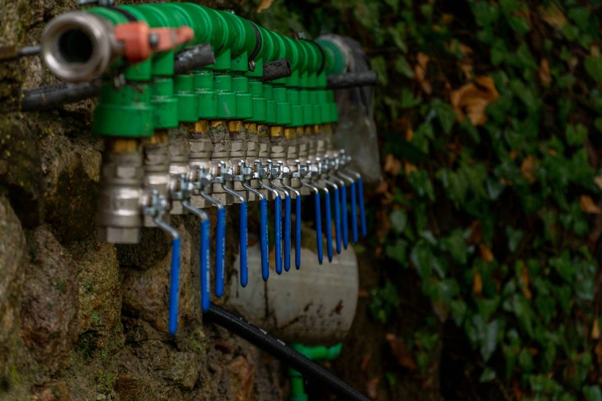Garden Hose Fittings Types: 7 Proven Tips to Avoid Costly Mistakes