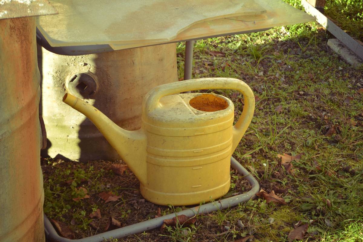 Adjustable sprayer nozzle attached to garden hose spraying fine mist over flower bed