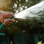 Hose Nozzle Attachment: 7 Proven Tips to Avoid Costly Watering Mistakes